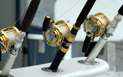 Tips for a Smooth Deep-Sea Fishing Trip